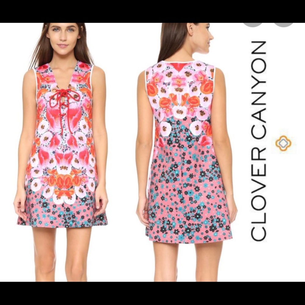 Clover Canyon Sleeveless Poppy Dress